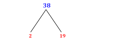 Prime Factorization of 38 with a Factor Tree
